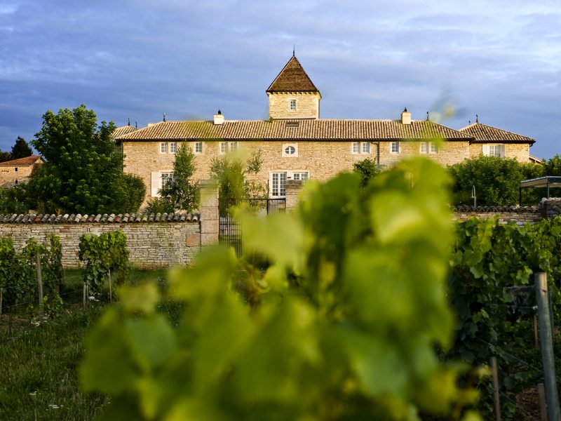 Château de Besseuil : les vignes