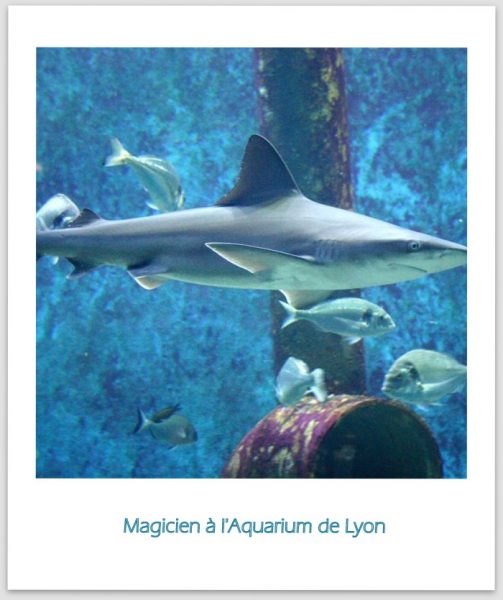 Magicien à l'Aquarium de Lyon