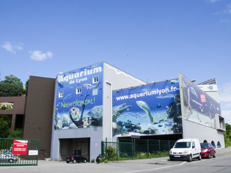 Aquarium de Lyon : arrière
