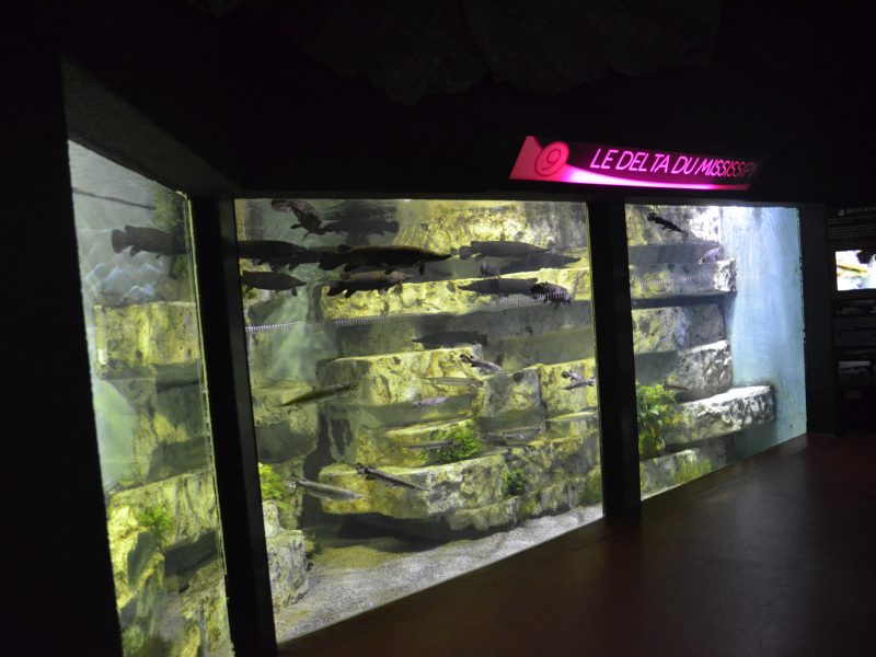 Aquarium de Lyon : les bassins